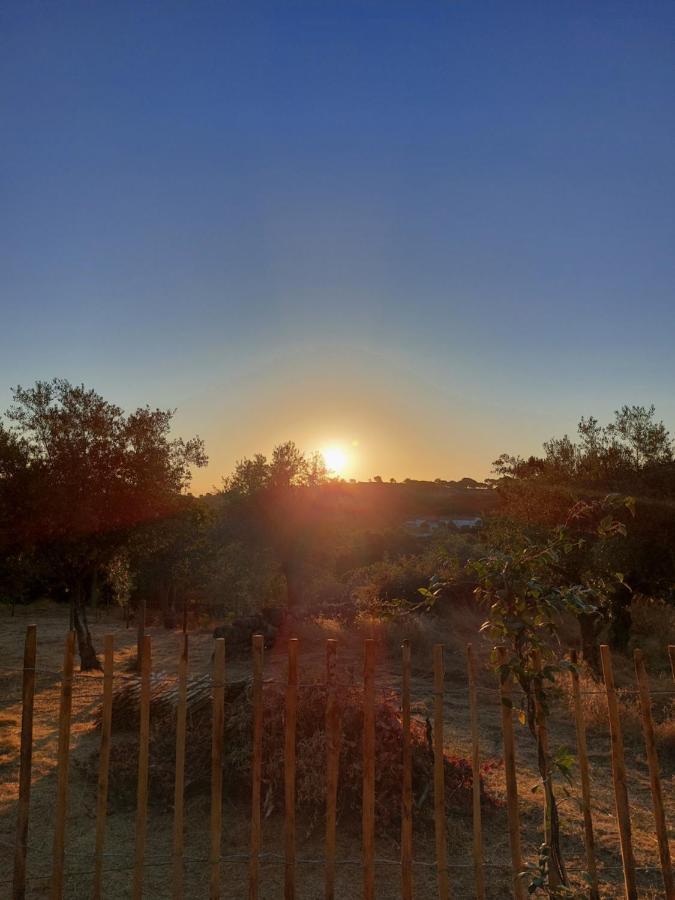 Magic Nature Lodge Marvao  Ngoại thất bức ảnh