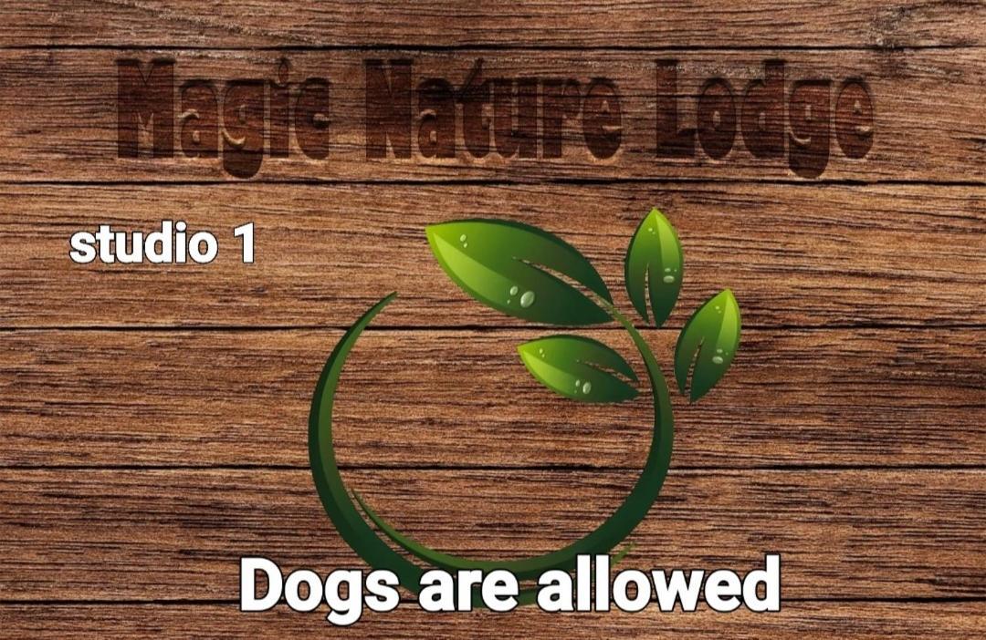 Magic Nature Lodge Marvao  Phòng bức ảnh
